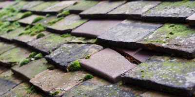 Cathays roof repair costs